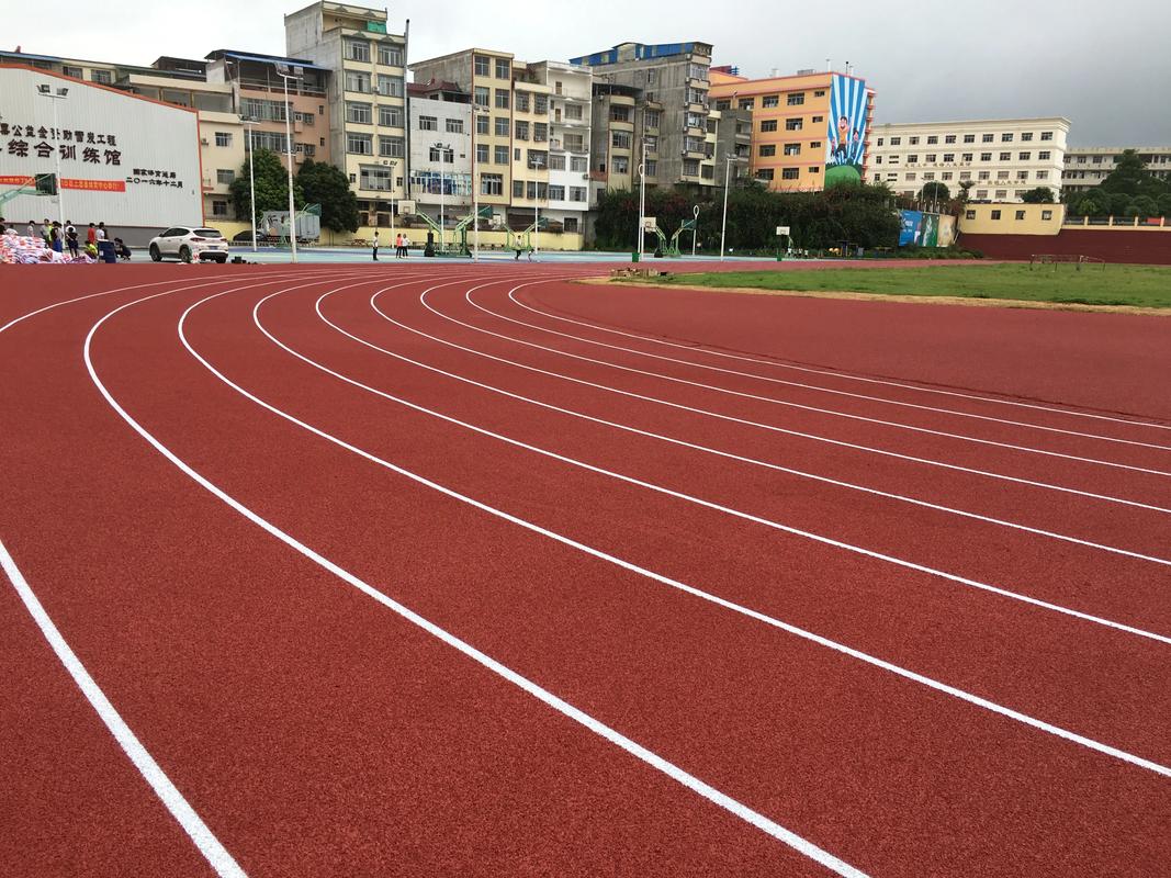 沧州市EPDM颗粒塑胶跑道材料 - 方案